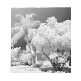 Florida Keys house and its palm trees, USA. 2 Notepad
