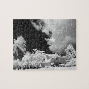 Florida Keys house and its palm trees, USA. Jigsaw Puzzle