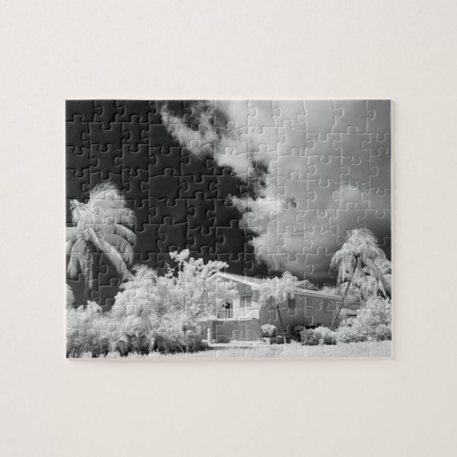 Florida Keys house and its palm trees, USA. Jigsaw Puzzle (Horizontal)