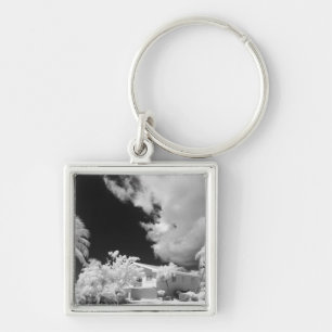 Florida Keys house and its palm trees, USA. Key Ring