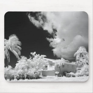 Florida Keys house and its palm trees, USA. Mouse Pad