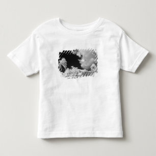 Florida Keys house and its palm trees, USA. Toddler T-Shirt