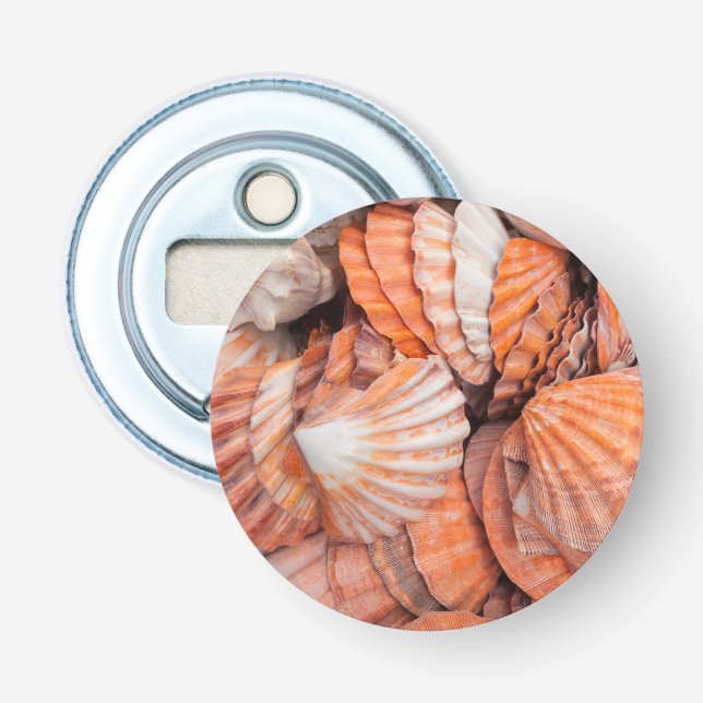 Florida Keys, Key West, seashells Bottle Opener (Front)