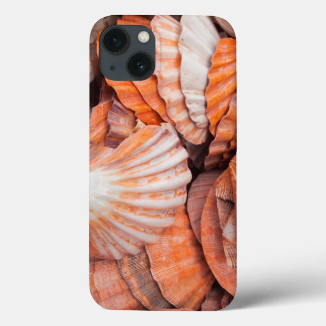 Florida Keys, Key West, seashells Case-Mate iPhone Case (Back)