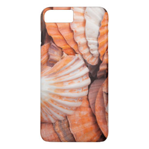 Florida Keys, Key West, seashells iPhone 8 Plus/7 Plus Case