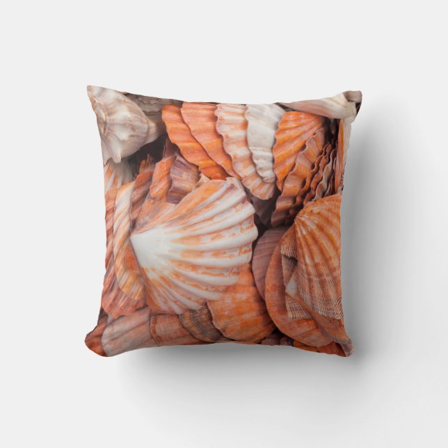 Florida Keys, Key West, seashells Cushion (Front)