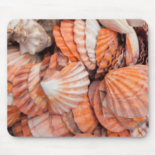 Florida Keys, Key West, seashells Mouse Pad