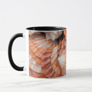 Florida Keys, Key West, seashells Mug