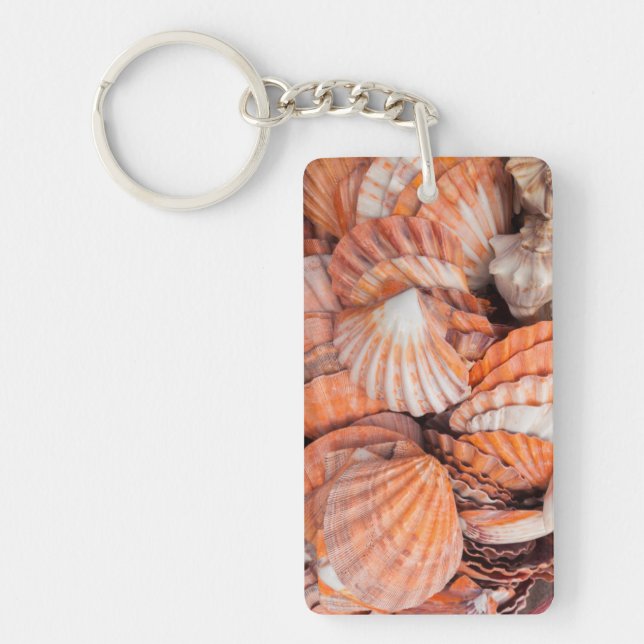 Florida Keys, Key West, seashells Ring (Front)