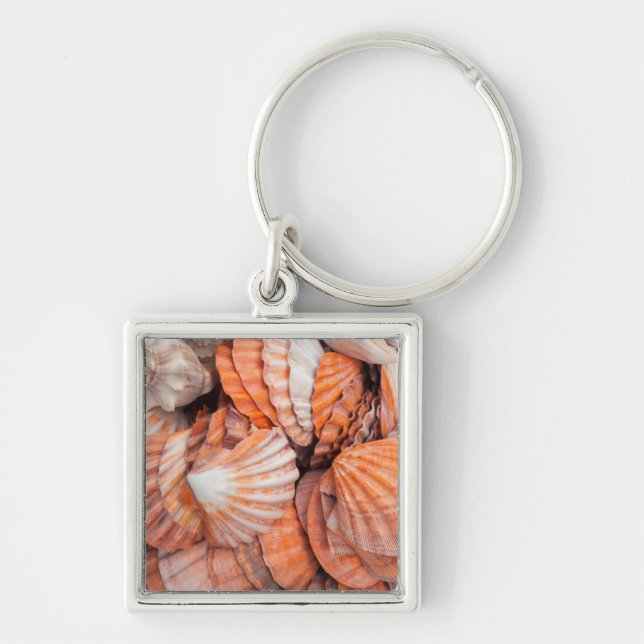 Florida Keys, Key West, seashells Ring (Front)