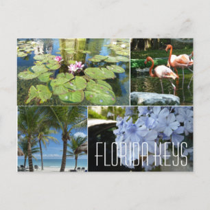 Florida Keys Postcard