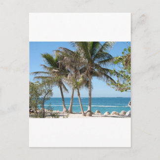 Florida Keys Postcard