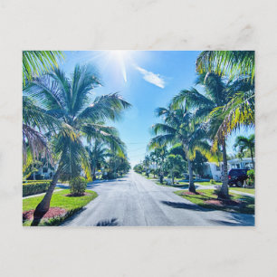 Florida Keys Postcard