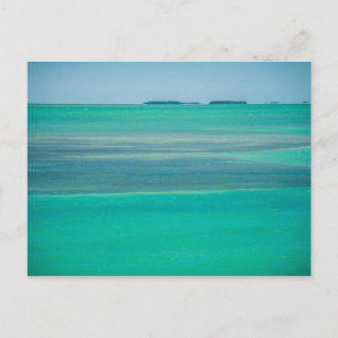 Florida Keys Postcard
