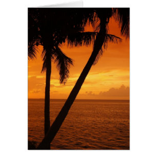 Florida Key's Sunset