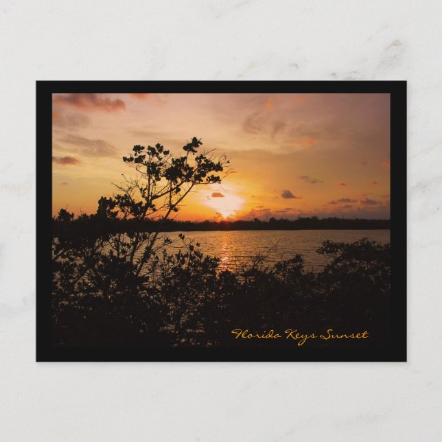 Florida Keys Sunset Postcard (Front)