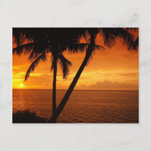 Florida Key's Sunset Postcard
