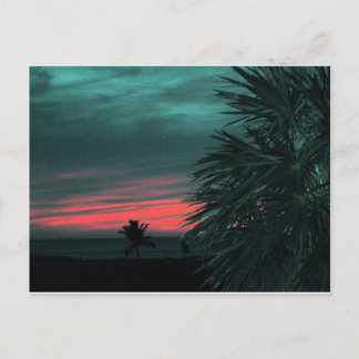 Florida Keys Sunset Postcard Large