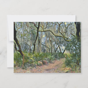 Florida Lace Spanish Moss Impressionist Art Postcard