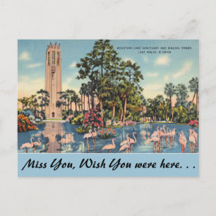 Florida, Lake Wales, Bok Singing Tower Postcard