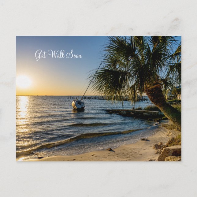 Florida Leaning Palm Tree Sunset Get Well Postcard (Front)
