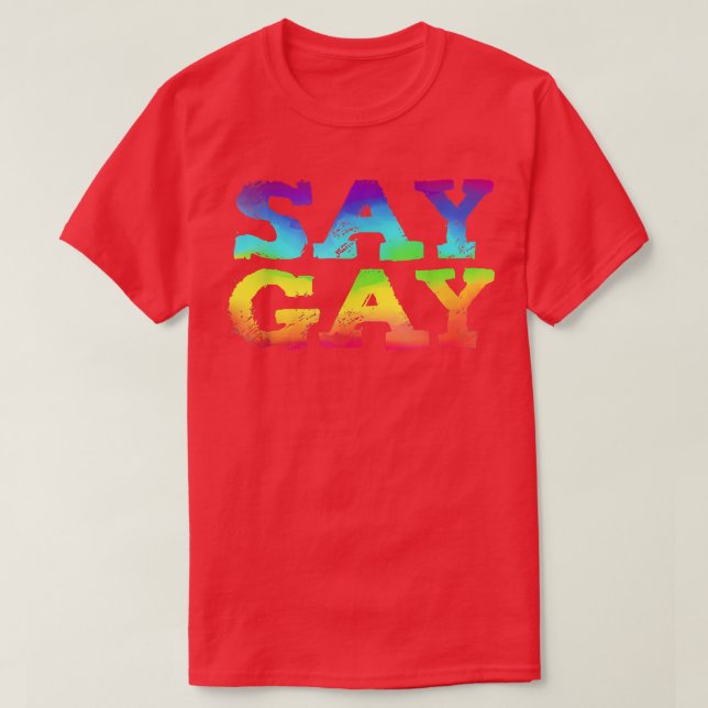 Florida LGBT Support Pride Say Gay  T-Shirt (Design Front)