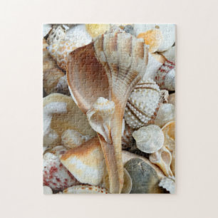 Florida Lightning Whelk Seashells Puzzle