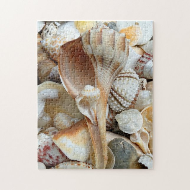 Florida Lightning Whelk Seashells Puzzle (Vertical)