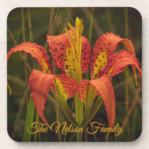 "Florida Lily" Coaster Set of 6