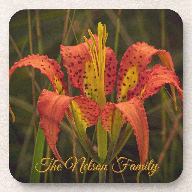 "Florida Lily" Coaster Set of 6 (Front)