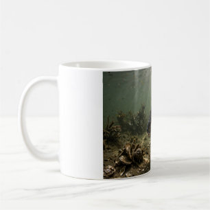 Florida Man Black Drum Bay Oyster Bar Fish Mug