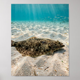 Florida Man Flounder Sandy Bottom Gulf Fishing Art Poster