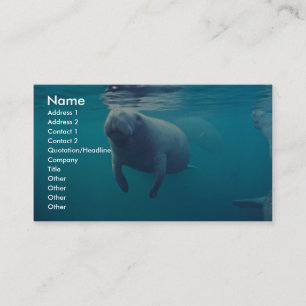 Florida Manatee Business Card