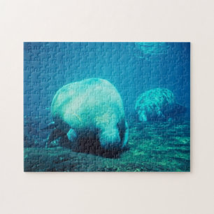Florida Manatee Jigsaw Puzzle