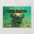Florida Manatees