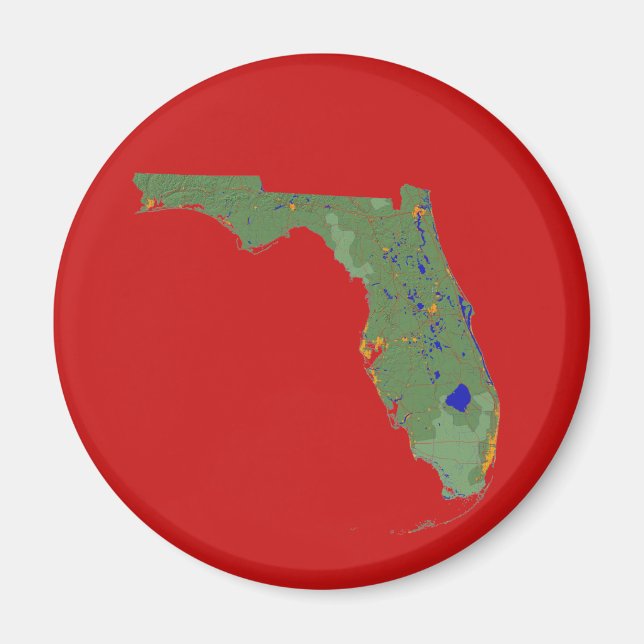 Florida Map Magnet (Front)