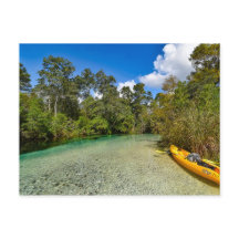 Florida nature postcard