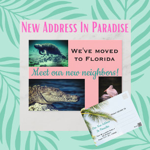 Florida New Address Photo Collage Tropical Postcard