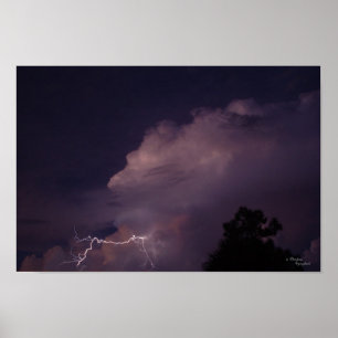 Florida Night Lightening Poster
