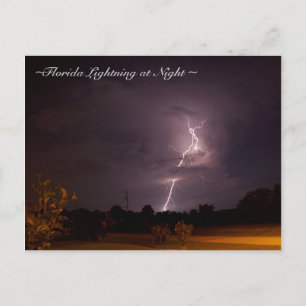 Florida Night Lightning Postcard