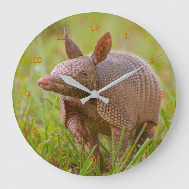 Florida Nine-banded armadillo close-up Large Clock (Front)