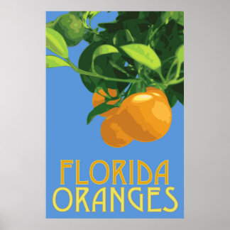 Florida Oranges Fruit Poster 24 x 36