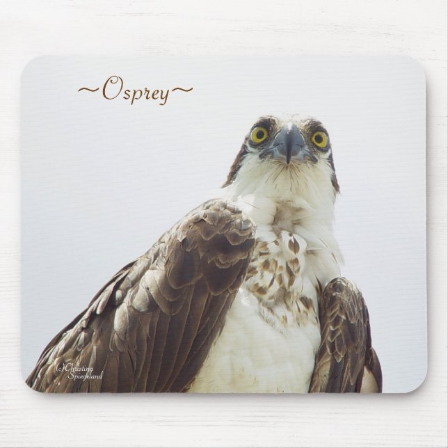 Florida Osprey Mousepad (Front)