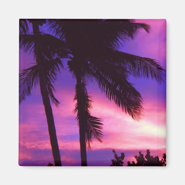 Florida Palm Sunset Magnet (Front)