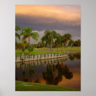 Florida palm tree lake reflection Poster
