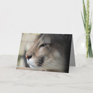 Florida Panther Birthday Card