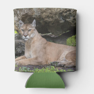 Florida Panther Can Cooler