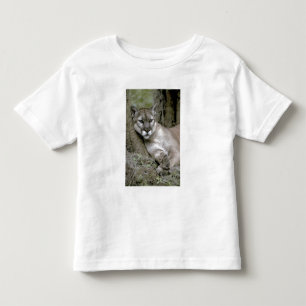 Florida panther, Felis concolor coryi, Toddler T-Shirt