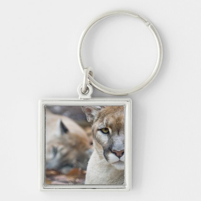 Florida Panther Key Ring (Front)