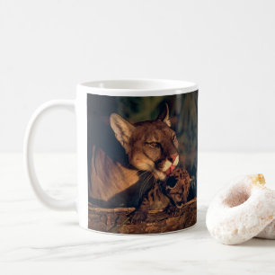 Florida panther licking cub coffee mug